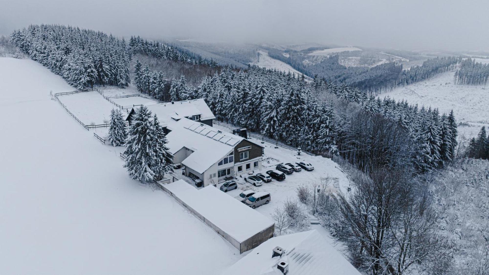 Landhotel Flora & Fauna (Adults Only) Winterberg Ngoại thất bức ảnh