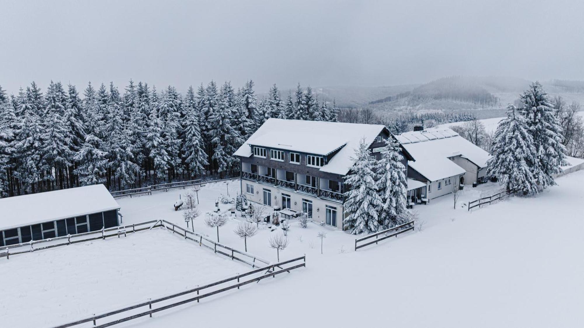 Landhotel Flora & Fauna (Adults Only) Winterberg Ngoại thất bức ảnh